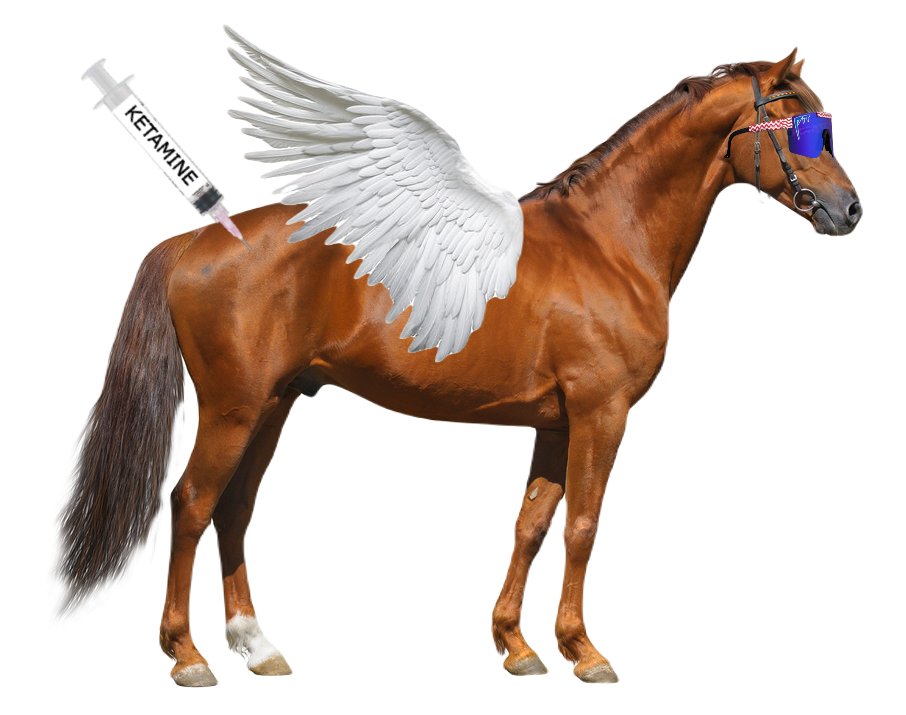horse_on_ketamine.png