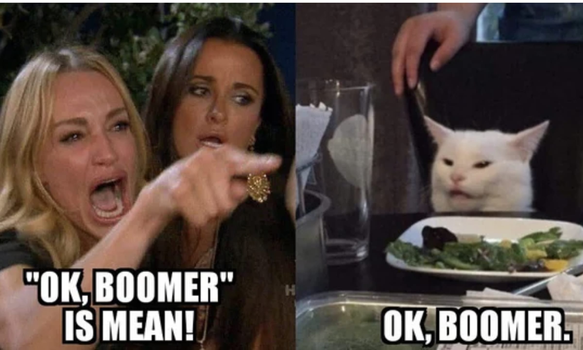 ok boomer is mean.jpg