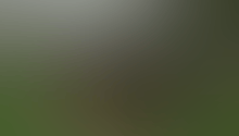 raditz-dragon-ball-z-budokai-tenkaichi-3.gif
