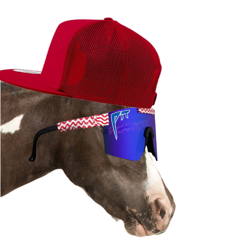 KetHorse