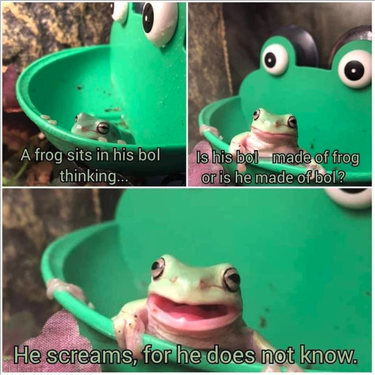 frog bol