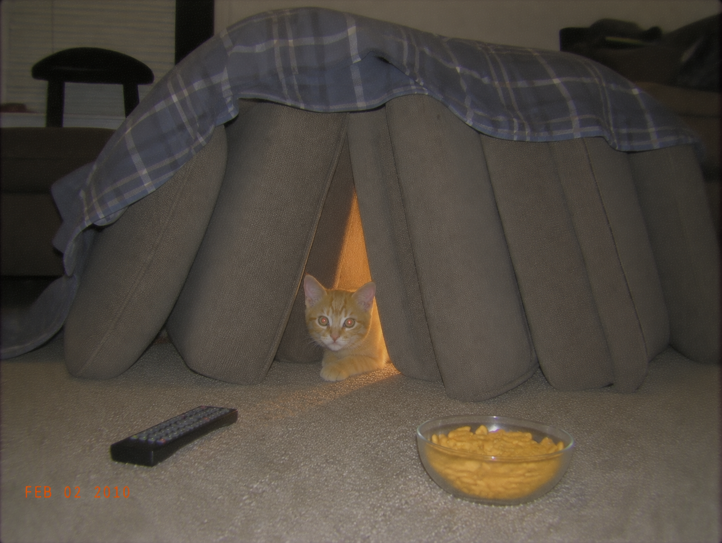 sirius-67-pillow-fort-hq.png