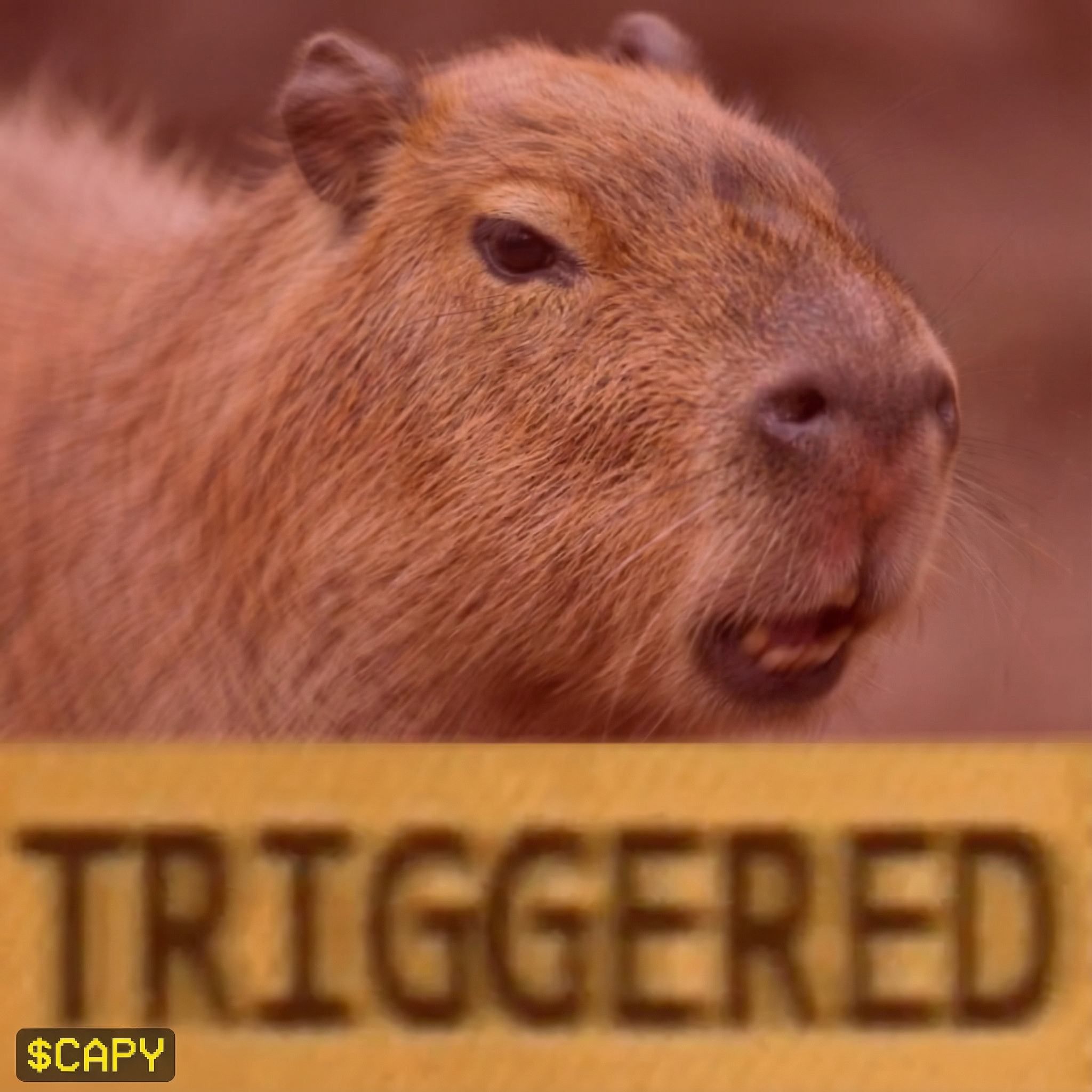 GeneratedImage - 2025-12-04T114653.643.png