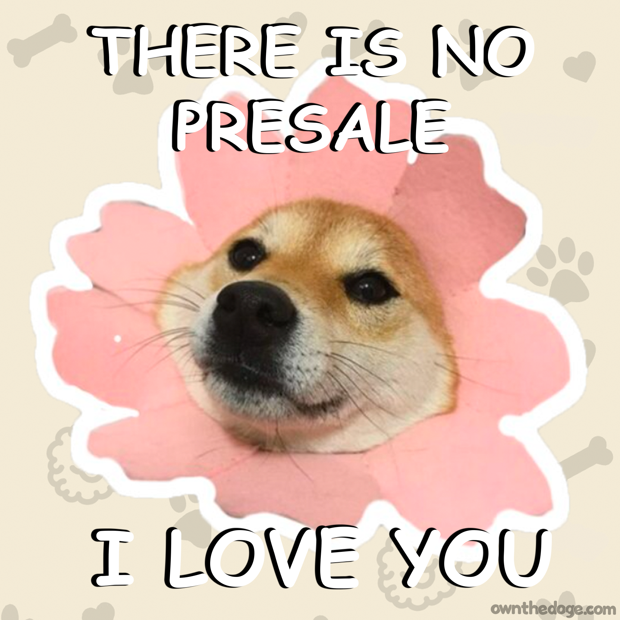 doge-nopresale.png