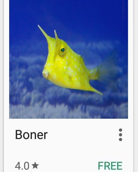 free boner.jpg