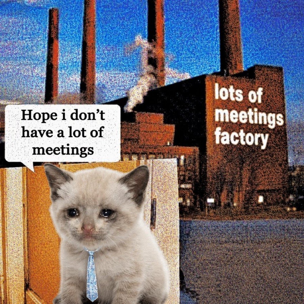 Meetings