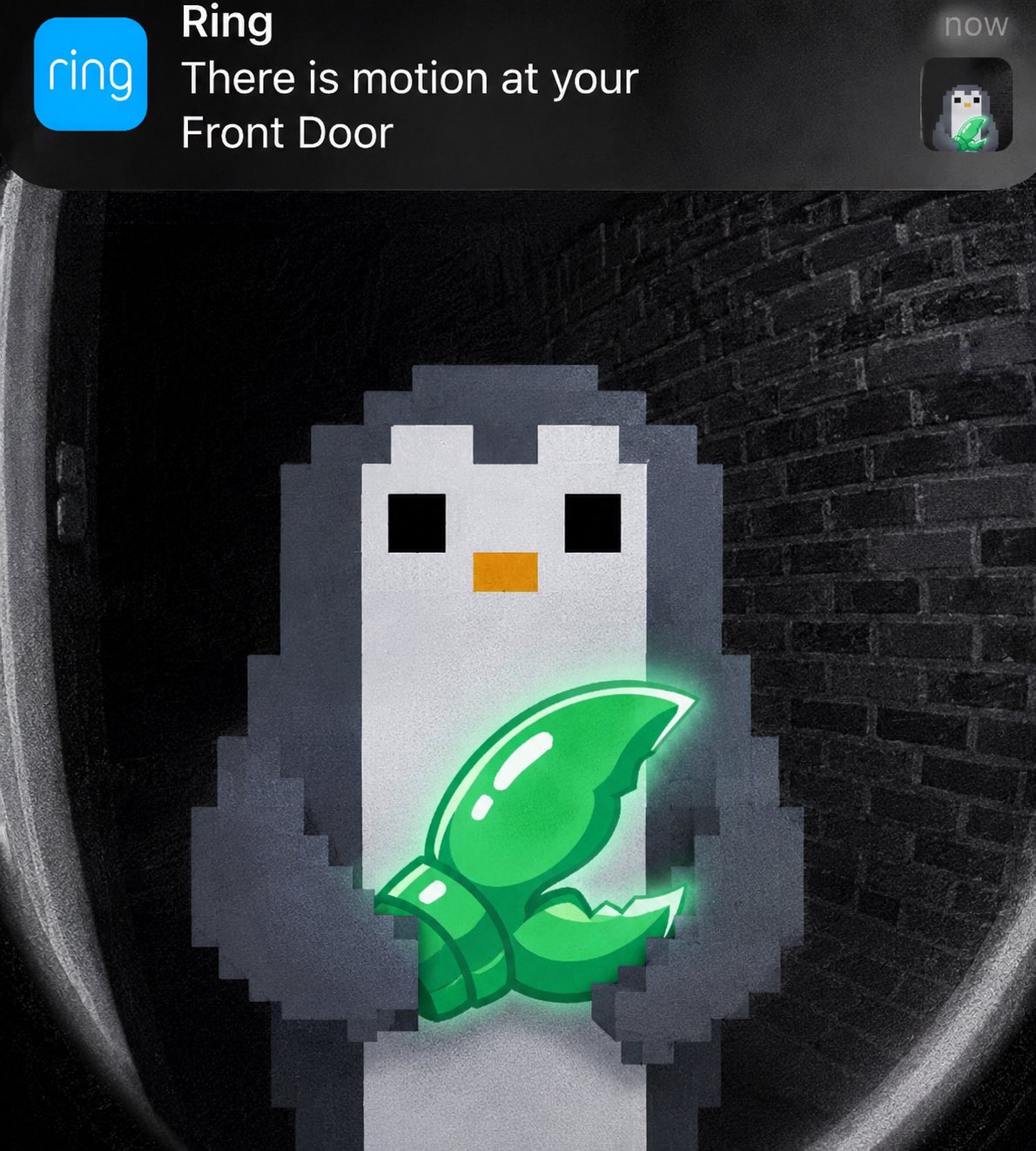 HJzpzUqXQAE7DgK.jpeg
