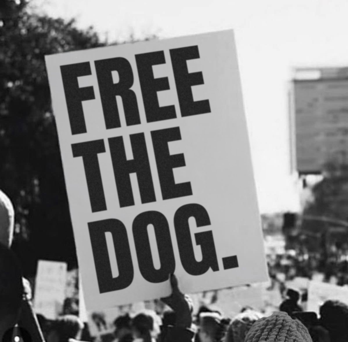 #freethedog https://t.co/Y3qr2RKbfD