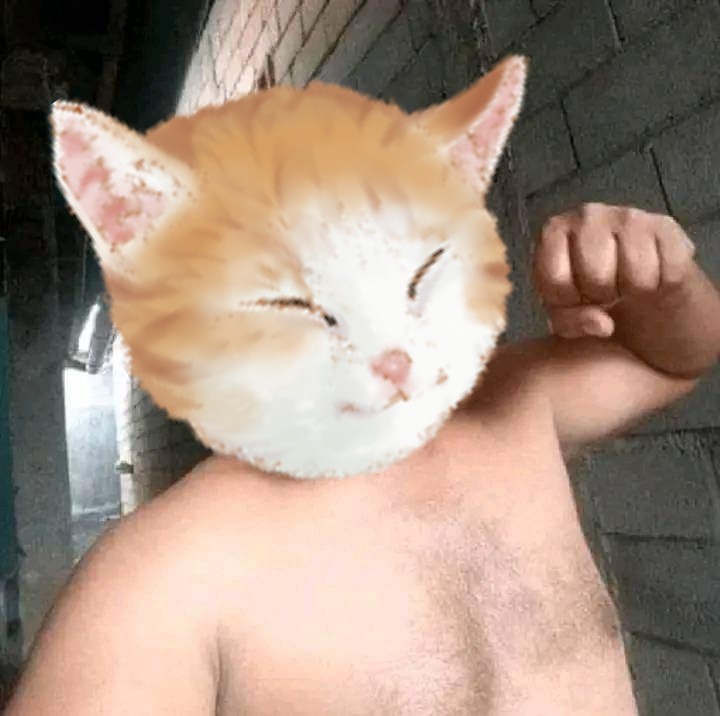 Tang ping cat fist