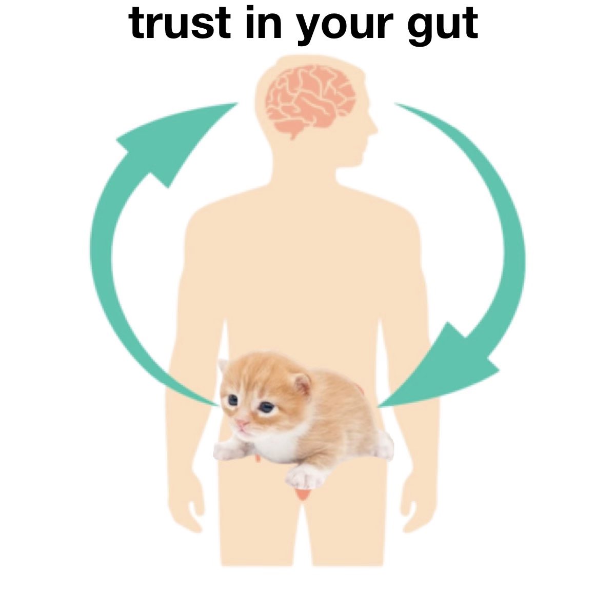 gary trust in your gut.jpg