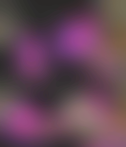 giphy (2).gif