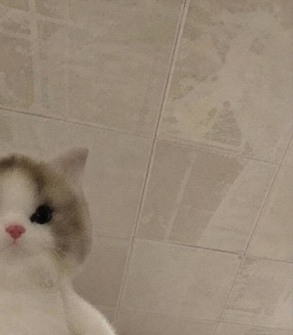 blob