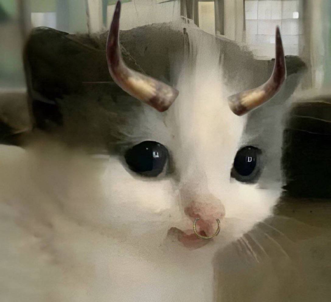 photo_2024-09-25_13-57-19 (2).jpg