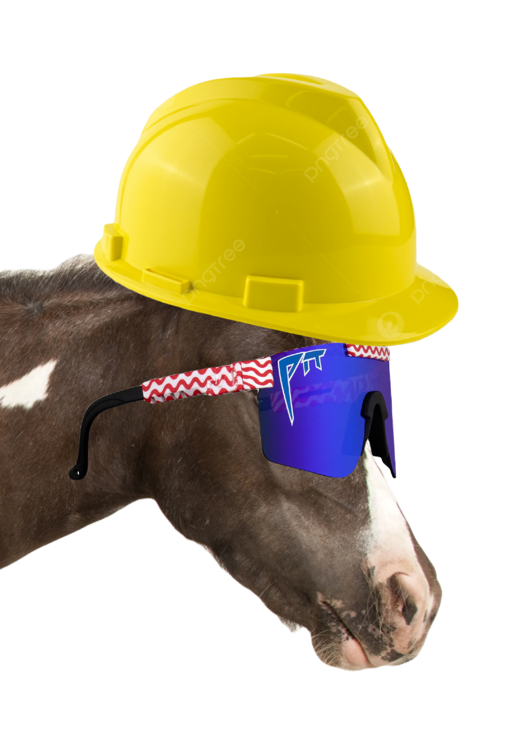 Horse_HARDHAT.png