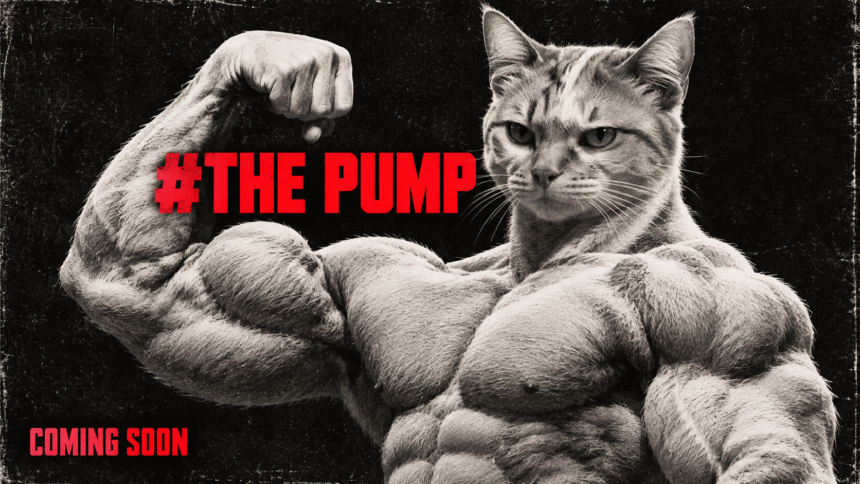 The pump
