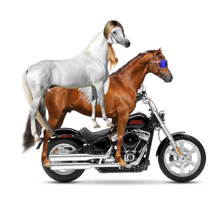 bothonharley.png