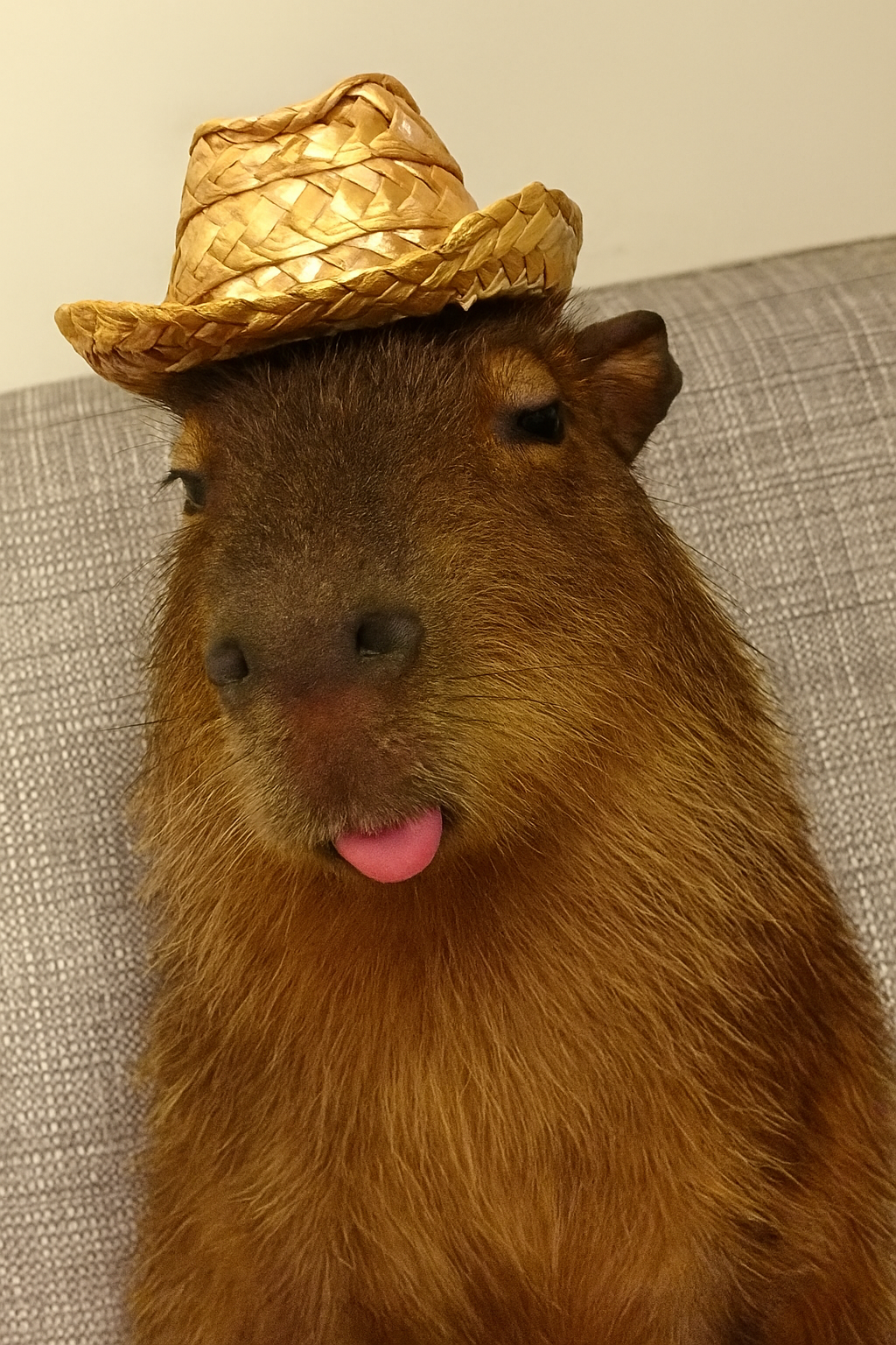 GeneratedImage - 2025-12-03T231929.933.png