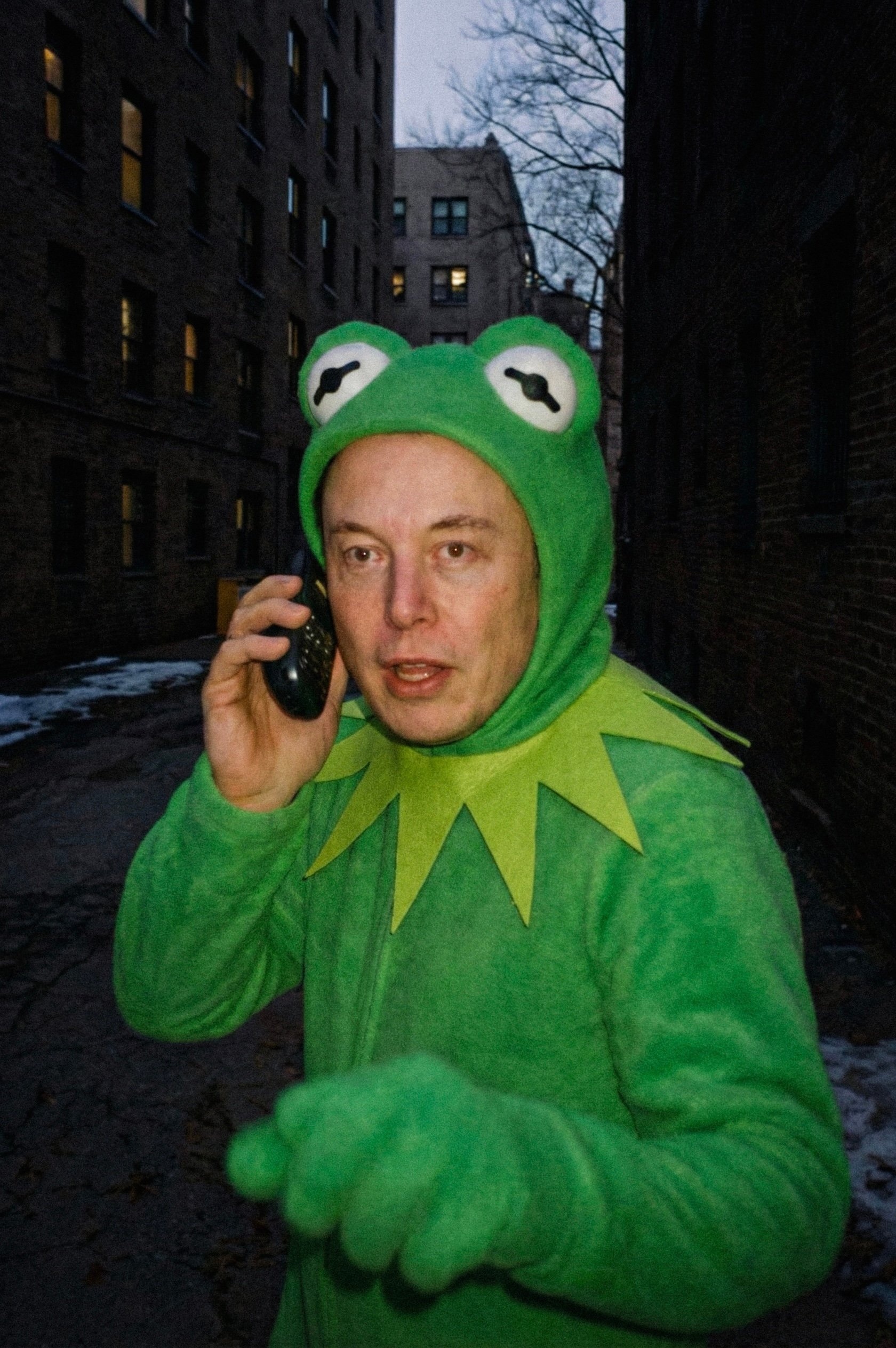 Elon Kermit Costume
