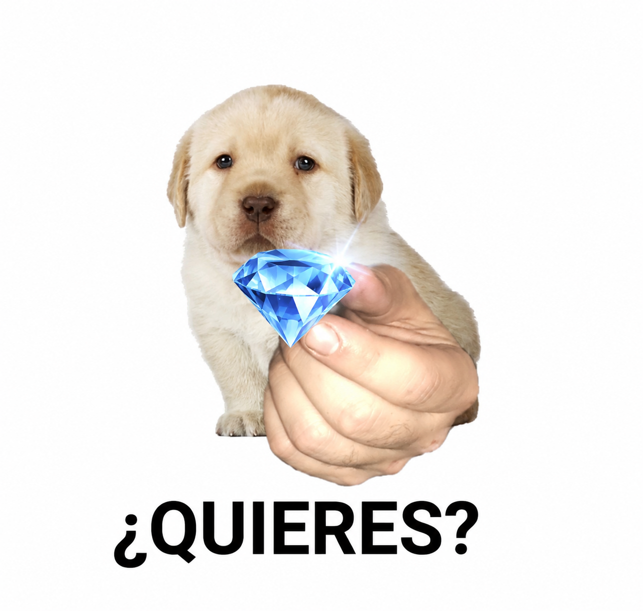 CDAFEF89-E129-418A-A58B-F8BCC97A1D03.png