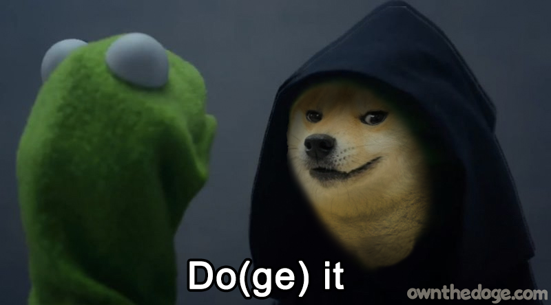 doge-doit-kermit.png