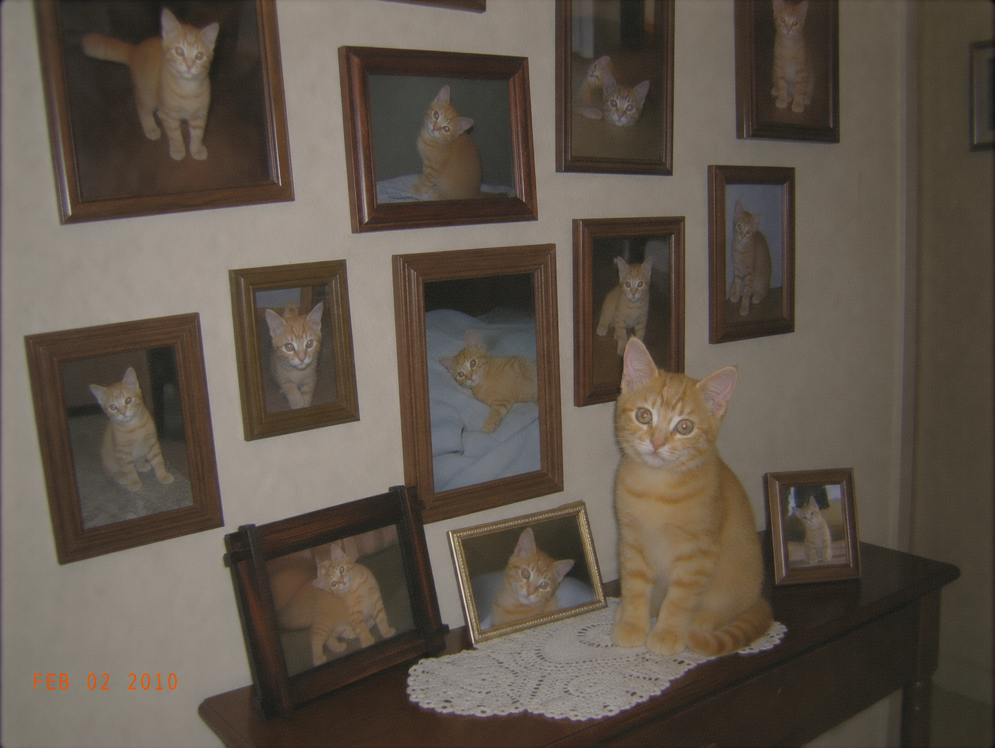 sirius-70-hall-of-fame.png