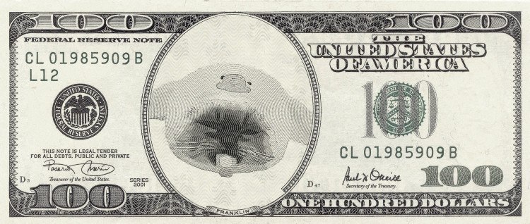 United XIAO Dollar Coin (UXDC)