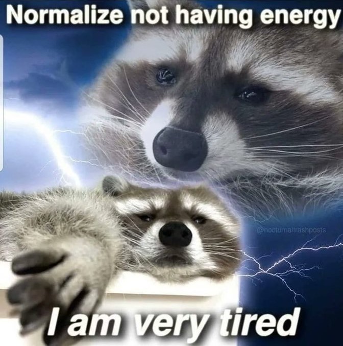 raccoon tired.jpg