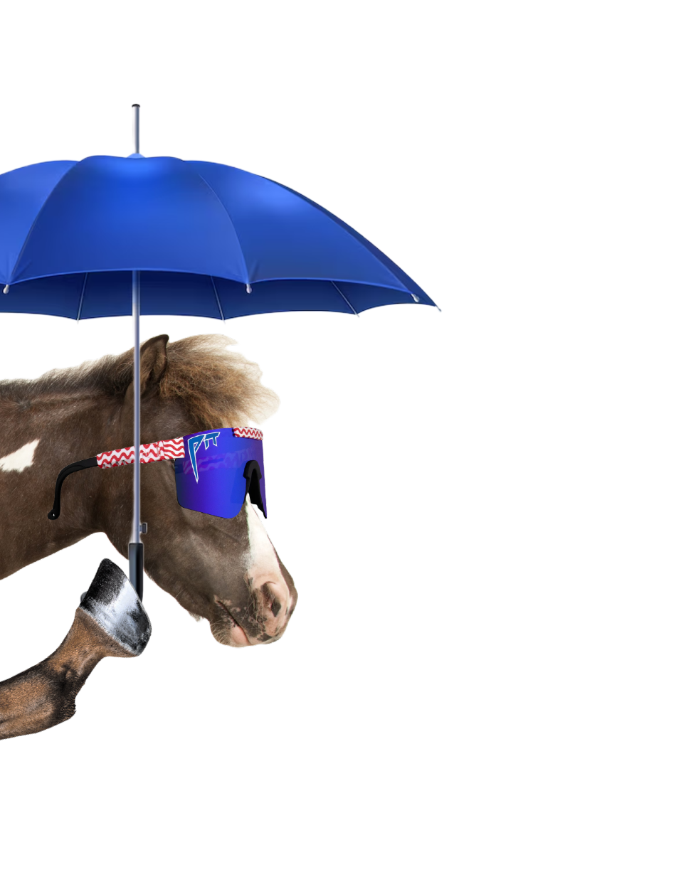 holding_umbrella.png
