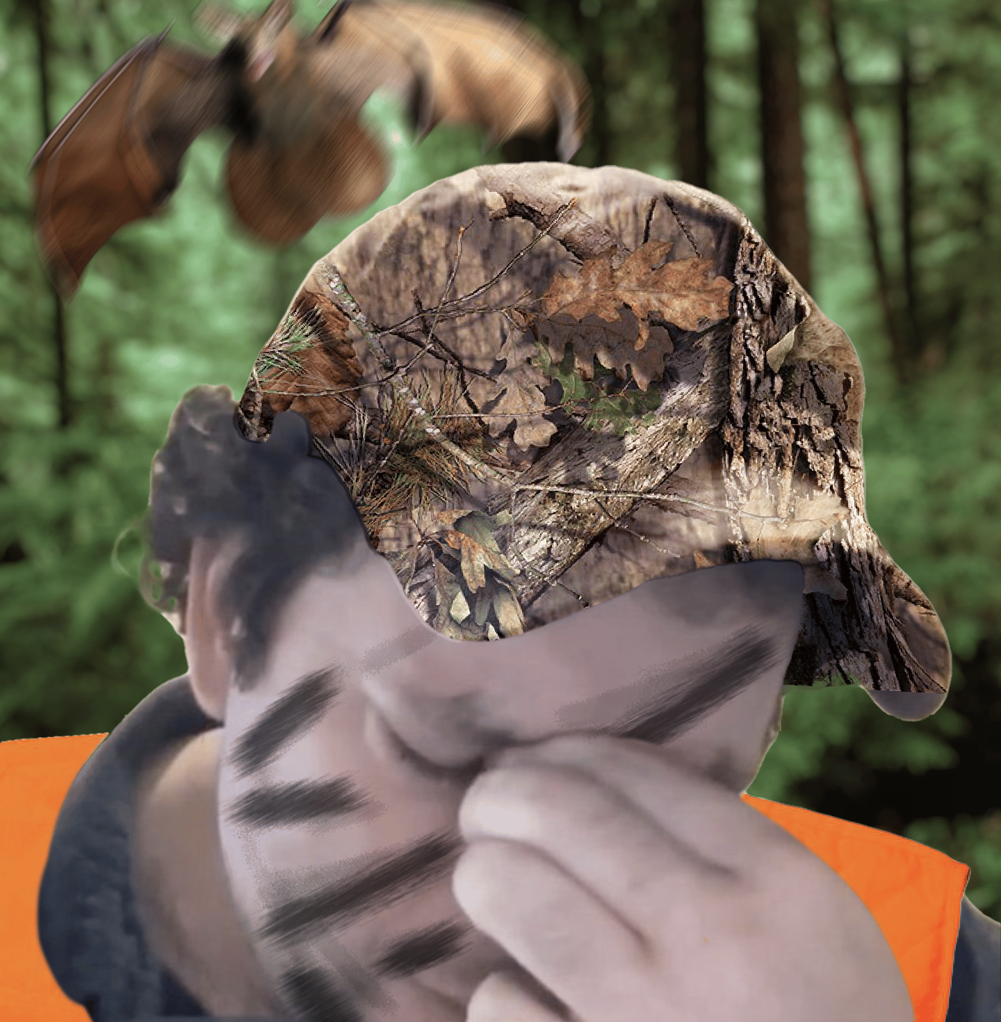ajt_season.png