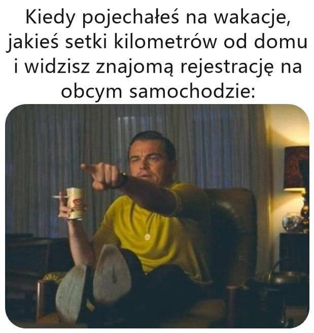 Best Polish Memes (1101).jpg
