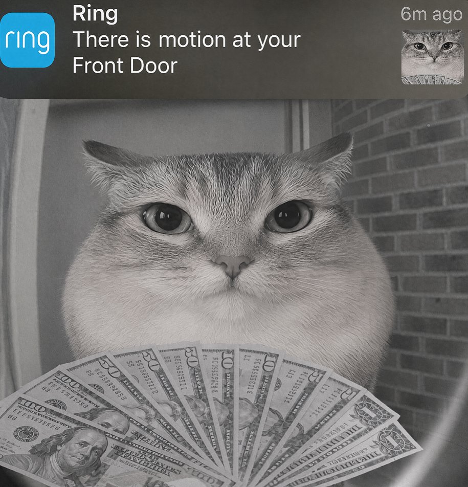 motion at your door baba.jpg