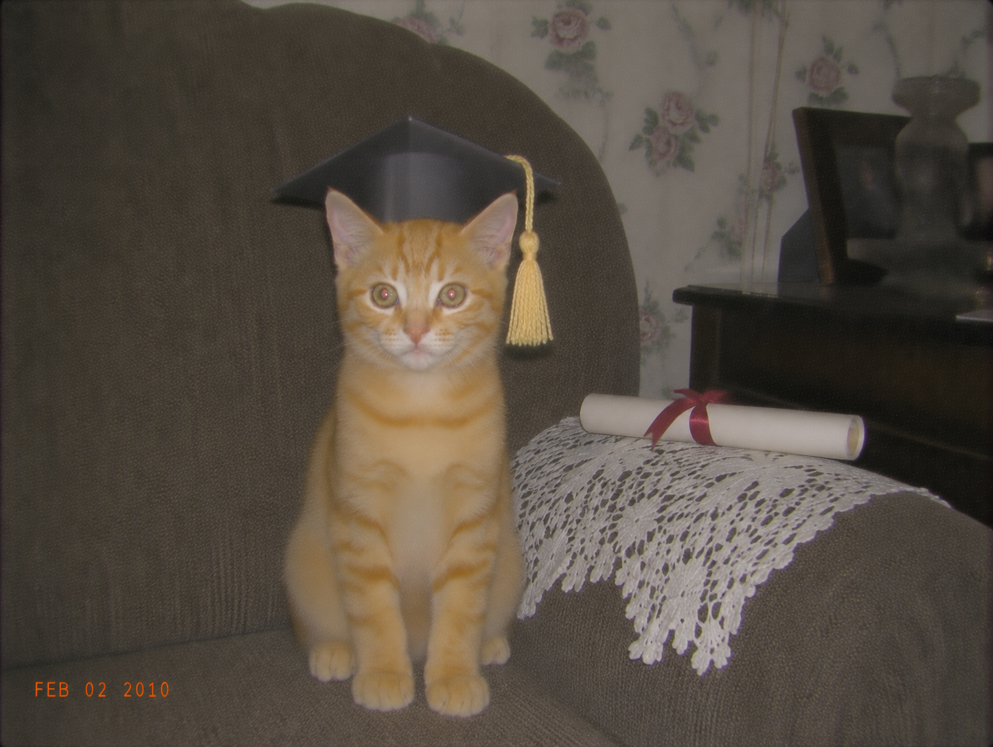 sirius-64-graduation.png