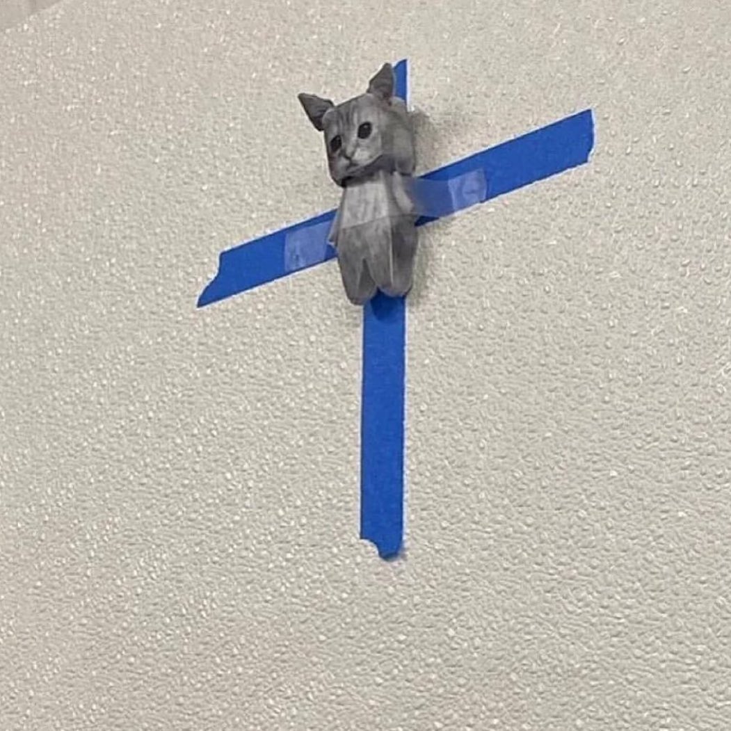 RT @PunchingCat: https://t.co/VymiAobbzJ