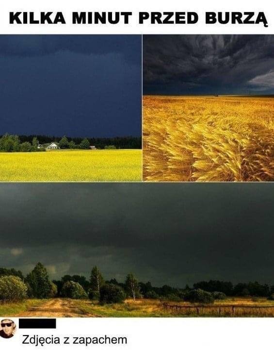 Best Polish Memes (1087).jpg