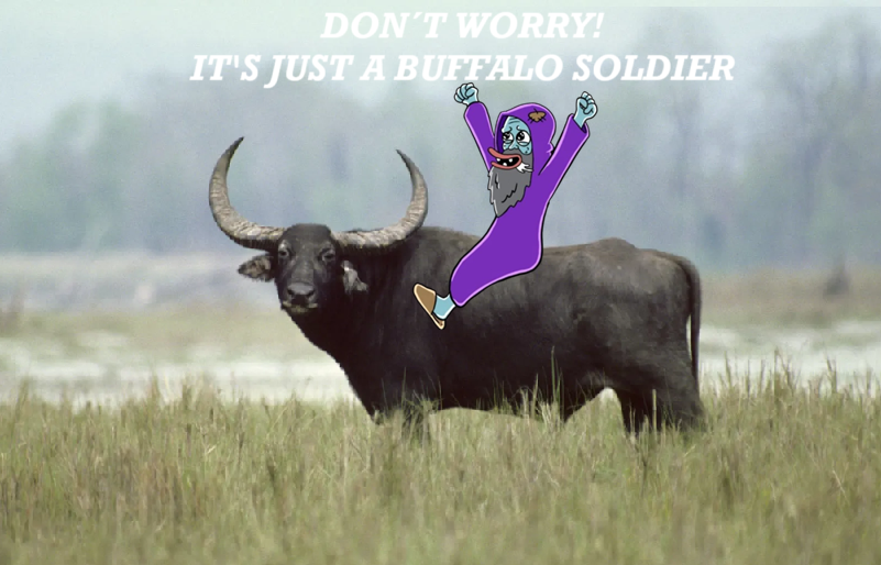 buffalo soldier.png