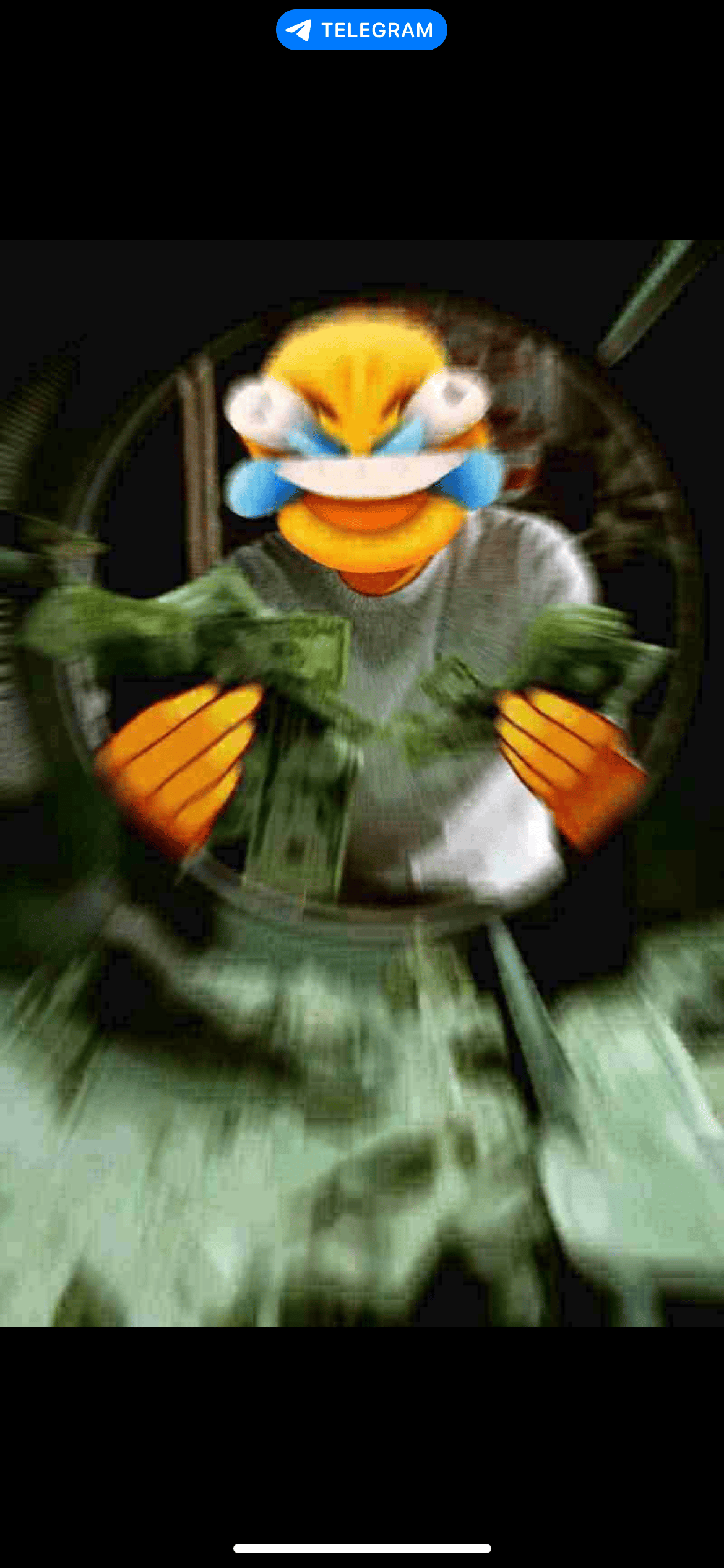 IMG_2109.png