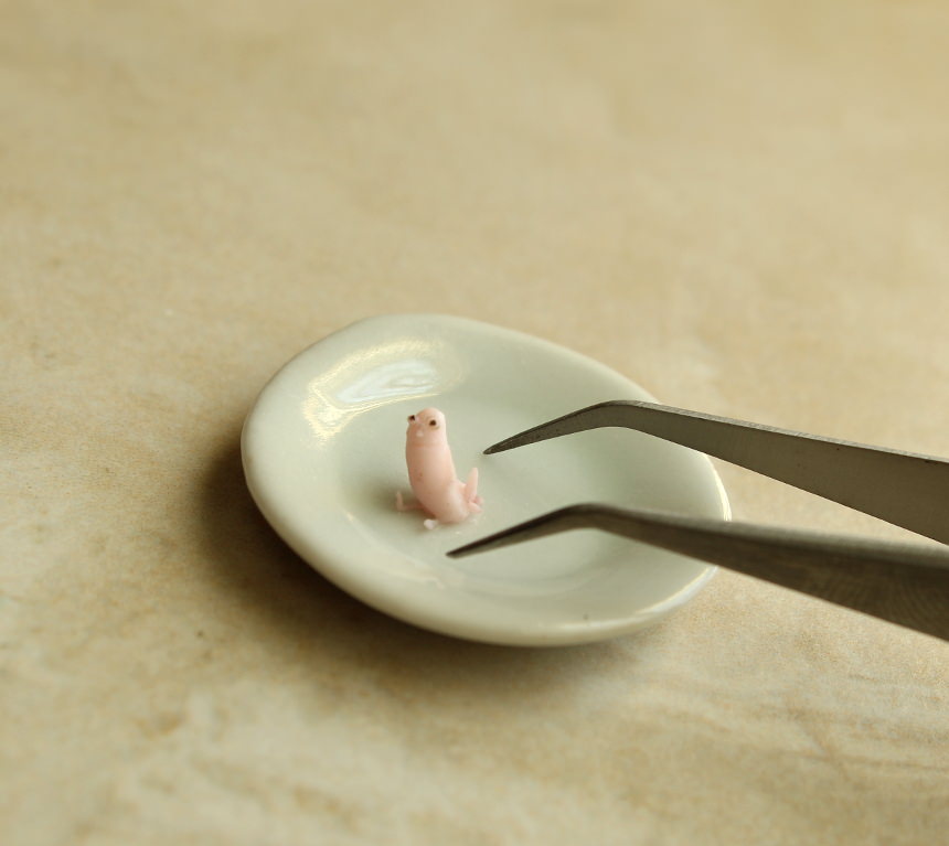 What is this, dickbutt for ants - Imgur.jpg