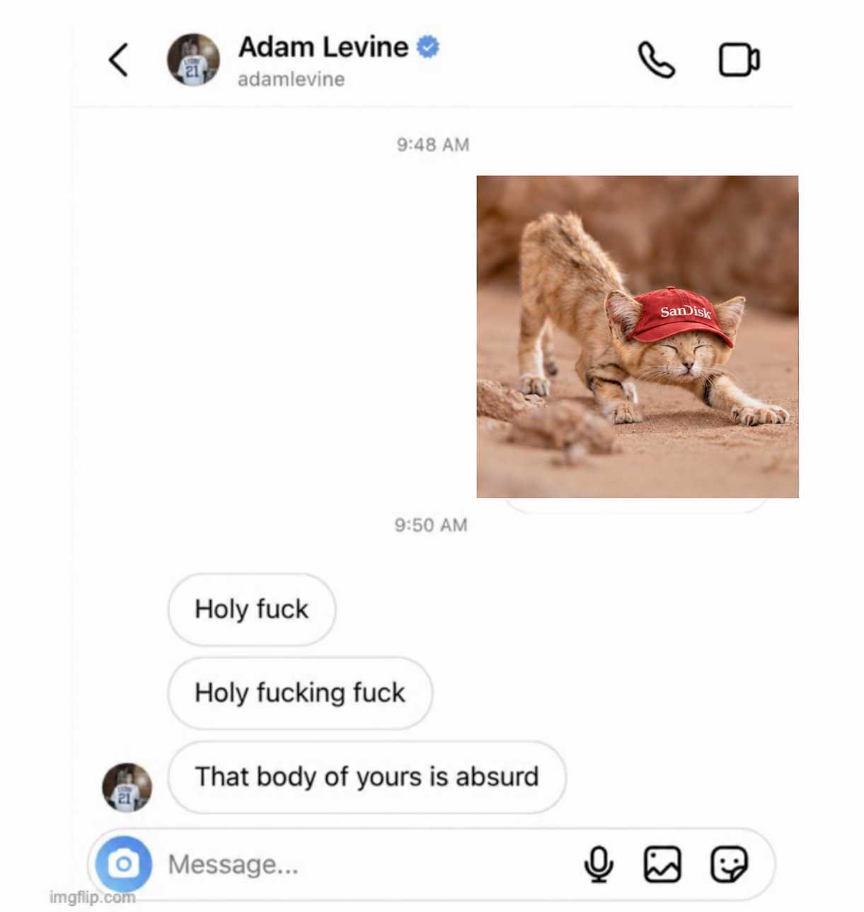 body_is_absurd.png
