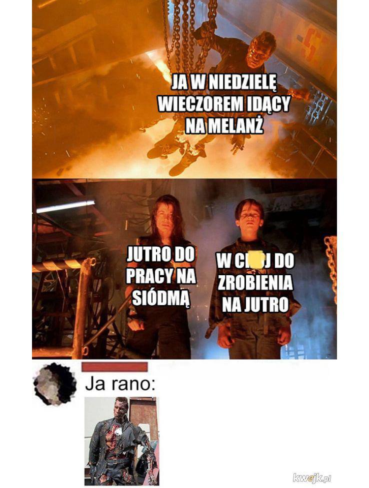 Best Polish Memes (1107).jpg