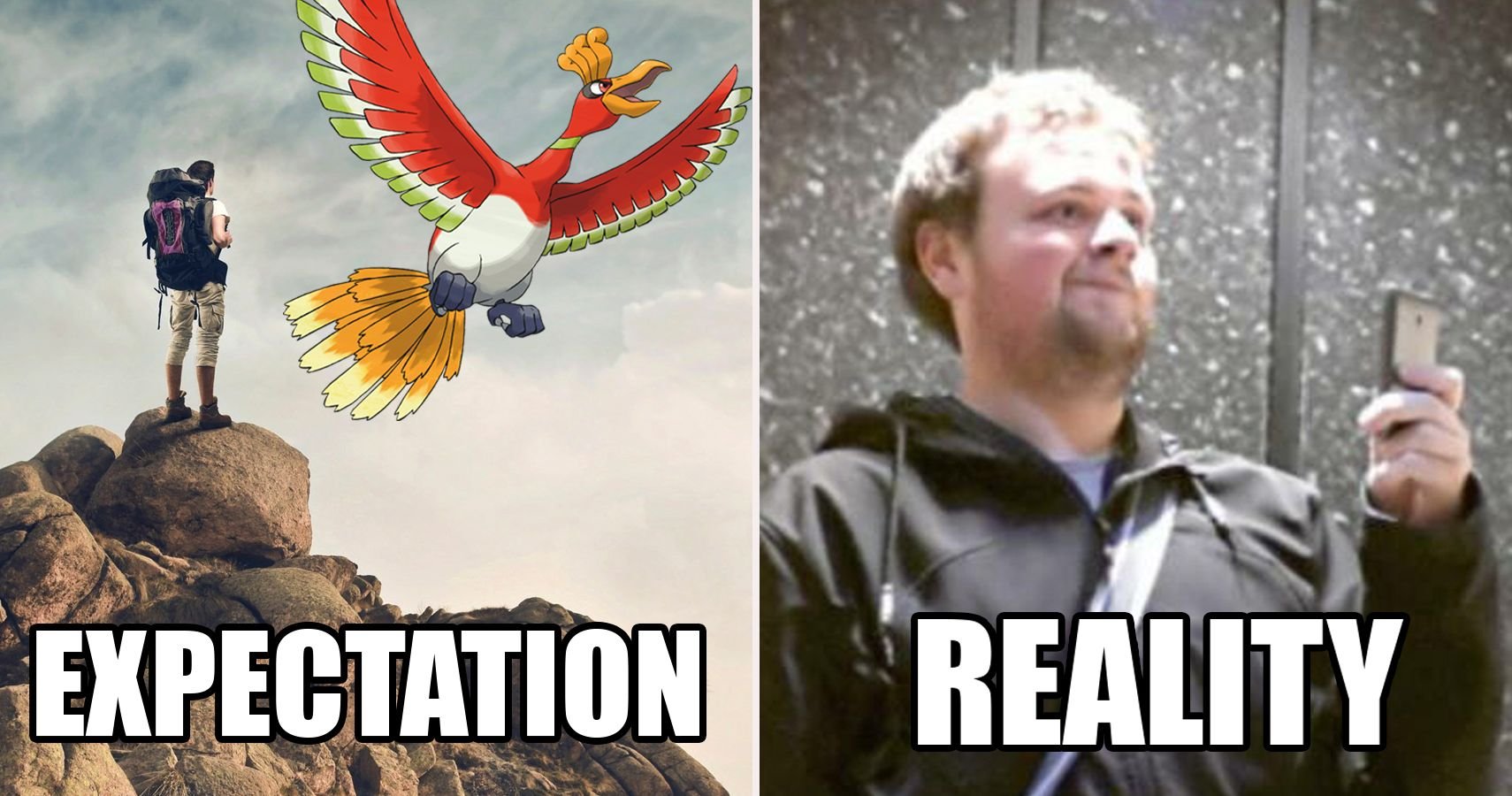 pokemon-memes-expectation-reality-1293121377.jpg