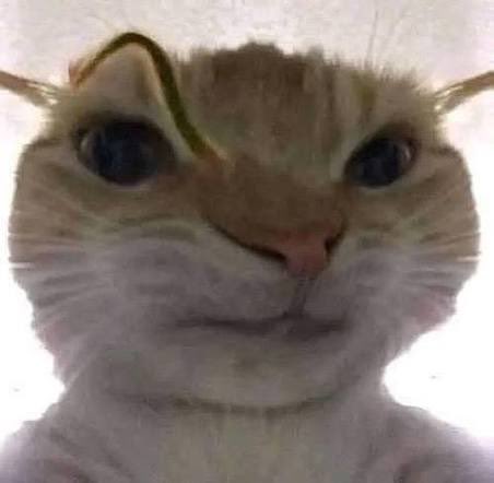 HORZQKPWsAAlwsN.jpeg