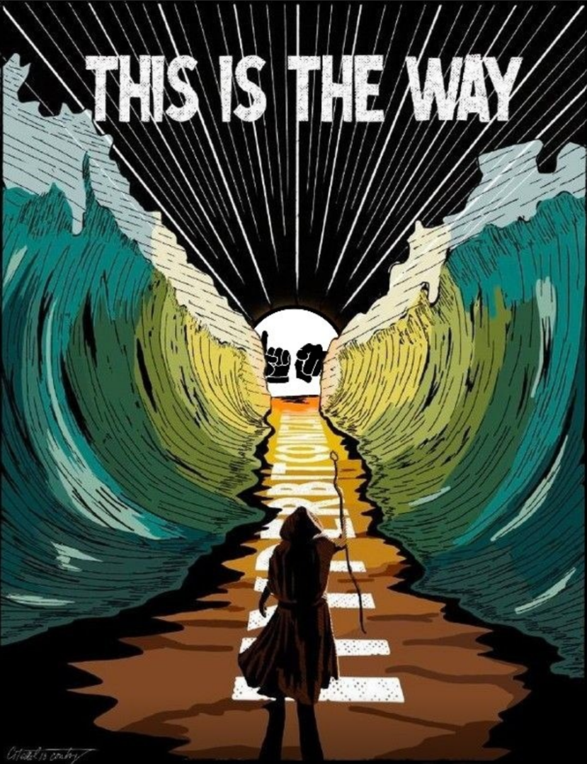 ThisIsTheWay.png