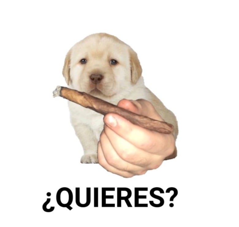 ¿QUIERES?