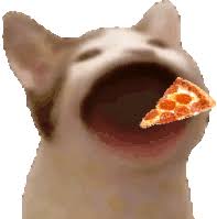 popcat pizza.jpg