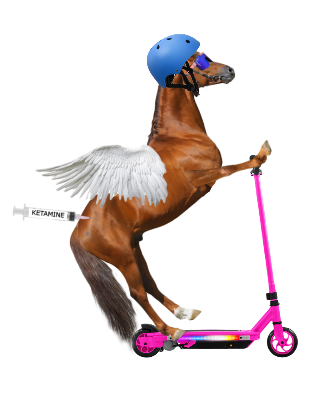 Horse_On_Scooter.png