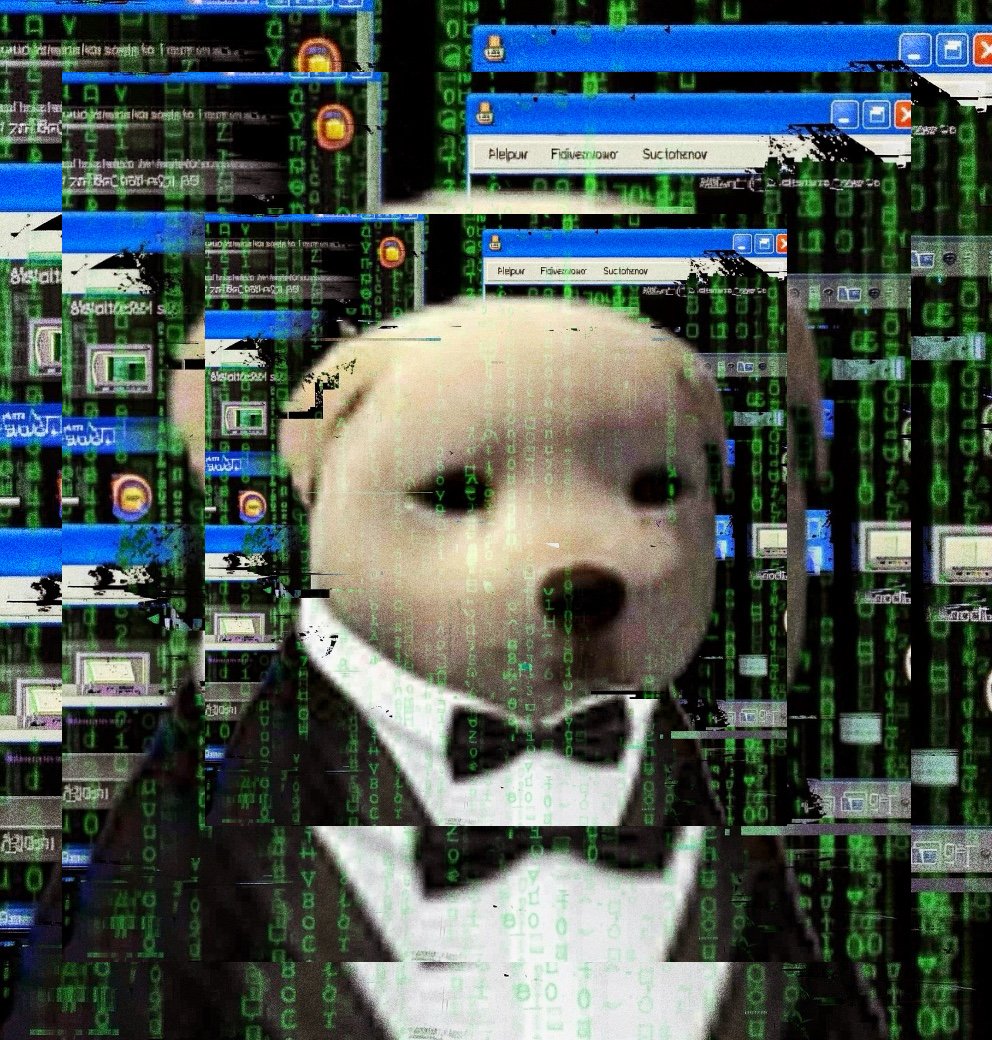 Enlight4678.JPG