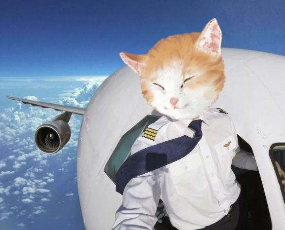 Pilot tang ping cat