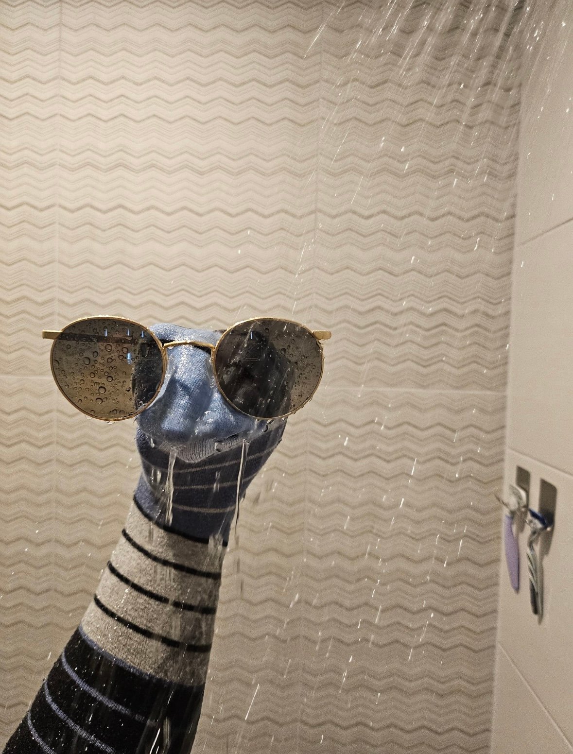 IMG_7395.jpeg