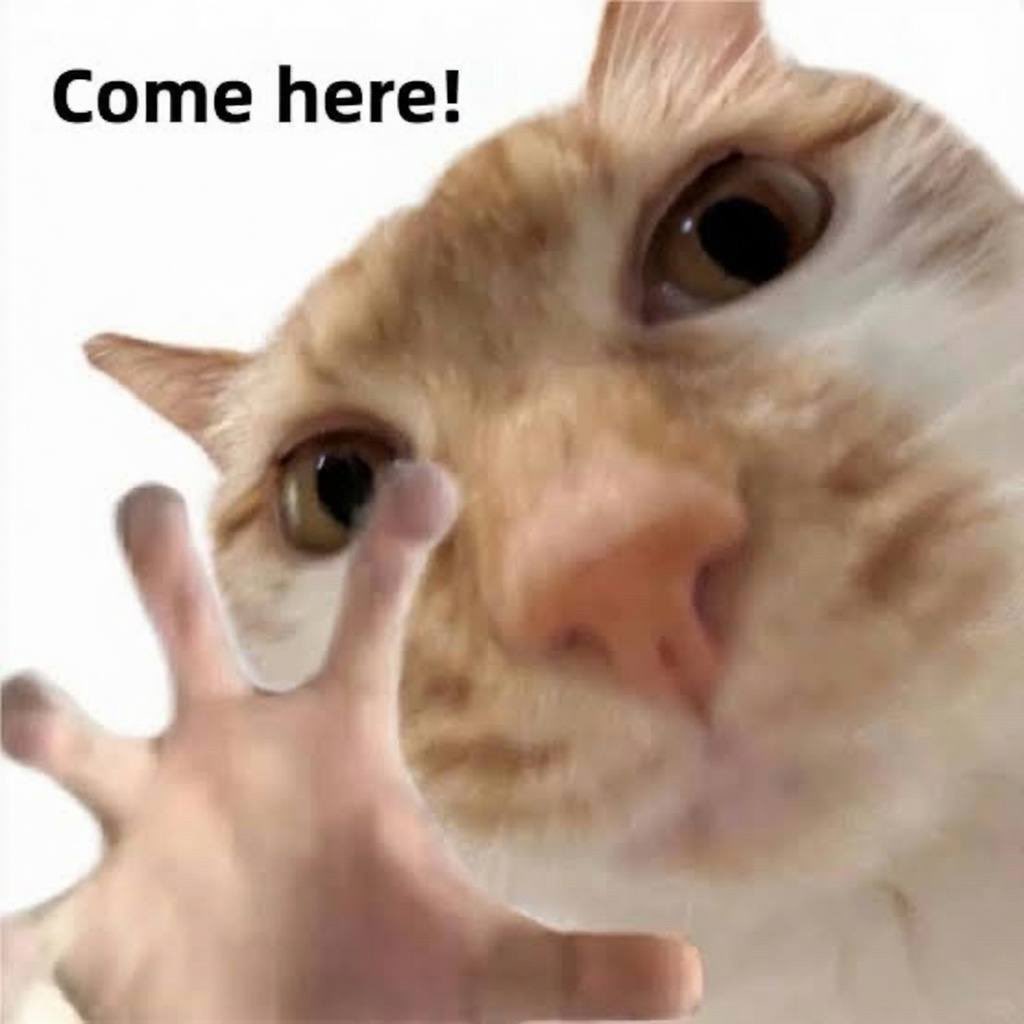 HORUxZ8WwAEVgUs.jpeg