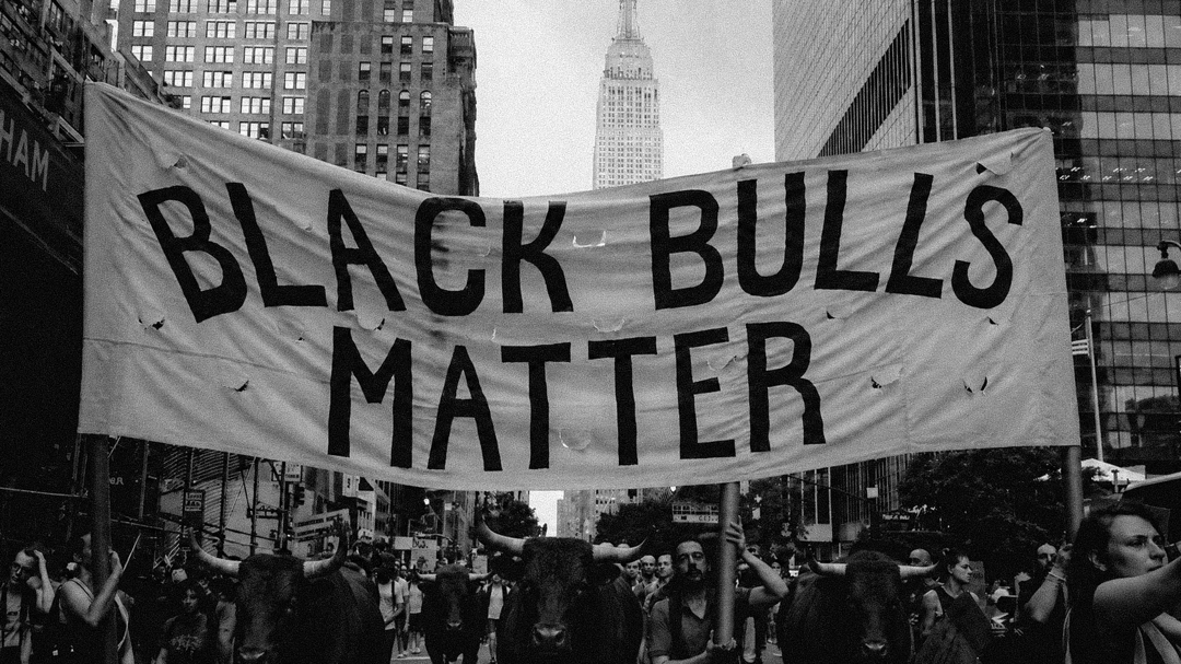 Black Bulls Matter